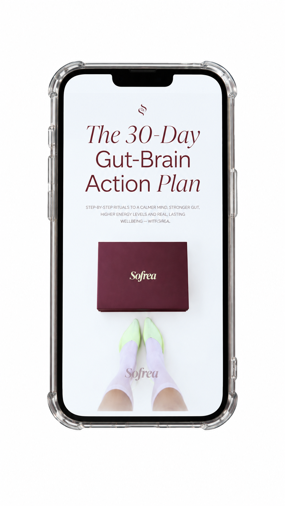 30 days action plan (e-book)